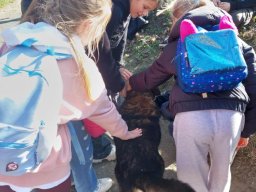 57405174612940176691928456290204024109811568n